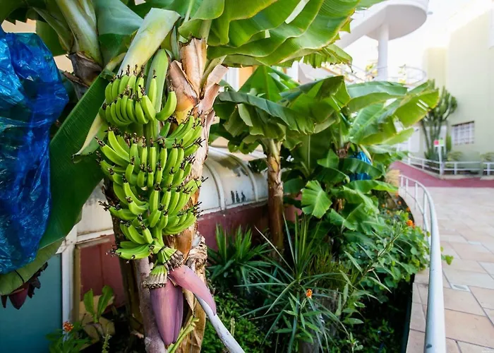 Appartement Orlando 85 *